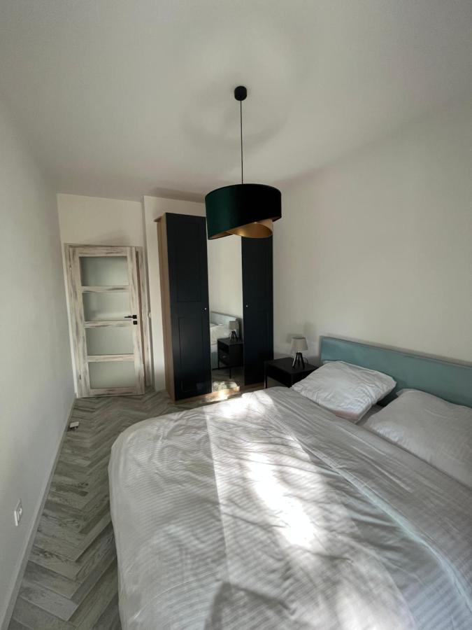 Apartament Pod Swierkiem Ястшембя-Гура Экстерьер фото
